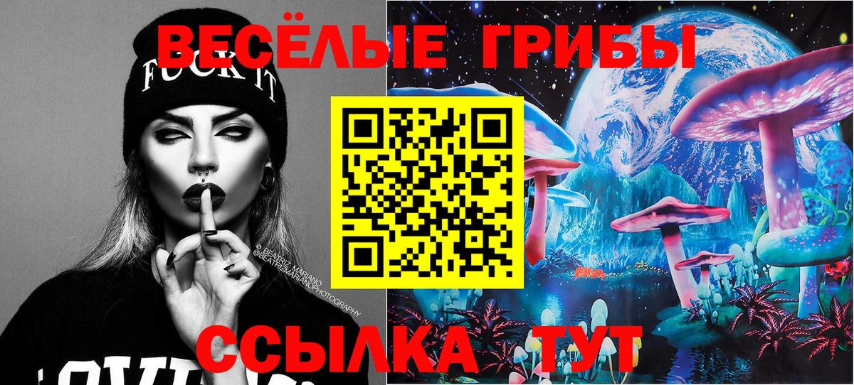 Псилоцибиновые грибы Cubensis  Галлюциногенные грибы Psilocybine cubensis  Вход с VPN  Боровичи 